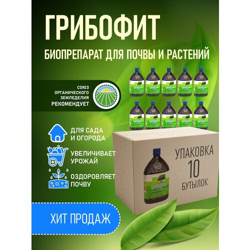 ������ ������ ����������� ���������� ������, Trichoderma viride �� ��������� �����������, ��������� 
