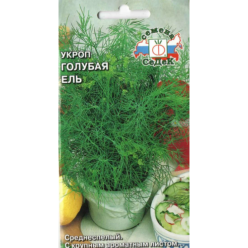 ������ ������ ����� ������� ���, ������ ����� ( 1 ��: 2 � ) ����