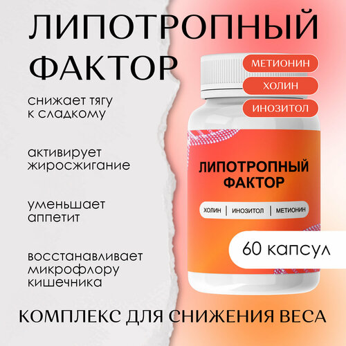 ������ ������ ����������� ������ ��������� ����