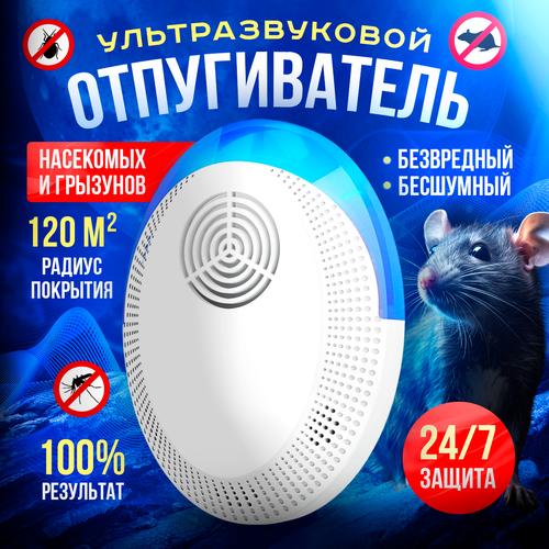 ������ ������ ������������ ����� � ���� ��������������, ������������ ��������� ����