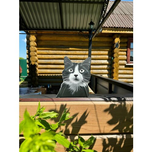 ������ ������ ������� ����� �� ������� 