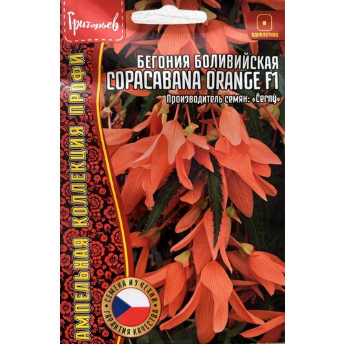 ������ ������ ������ ������� ����������� 