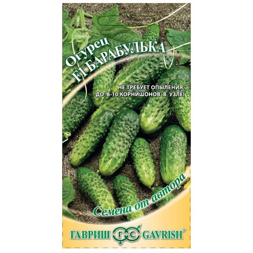 ������ ������ ������ ������ ������ �� ������ ������ F1 ���������� �������� 10 ��. ����