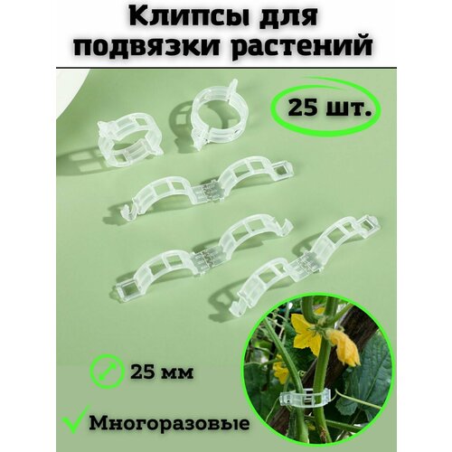 ������ ������ �������� ��� �������� SaRo house ����� ����