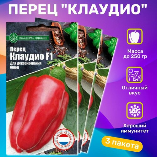 ������ ������ ������ ����� �������� ������� F1 ����