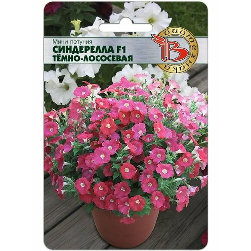 ������ ������ ���� ������� ���������� F1 Ҹ���-��������� ����