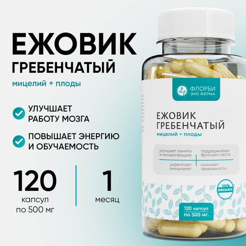 ������ ������ ������ (������) ����������� �������, 120 ������ �� 500 �� ����