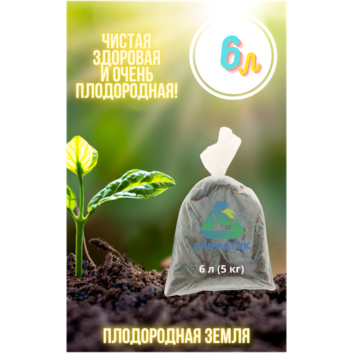 ������ ������ ����������� �����, Alfatek, 6 � (5 ��) ����