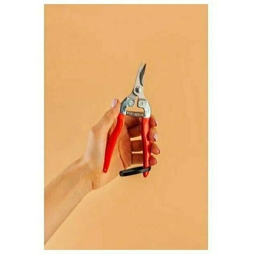 ������ ������ ������� ��� ������ ����