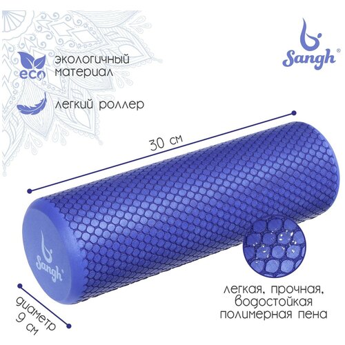 ������ ������ Sangh ����� ��������� Sangh, 30�9 ��, ����� ���� ����