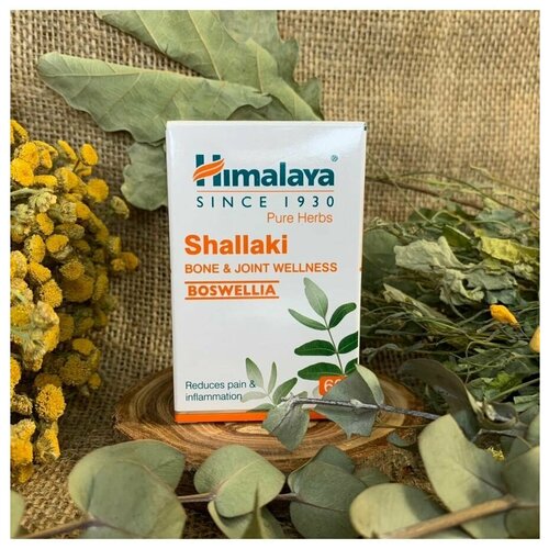 ������ ������ Shallaki (�������, ������) Himalaya (�������) ������ ����� � ������ � ��������, ��� ������� � ����������, 60 ���. ����