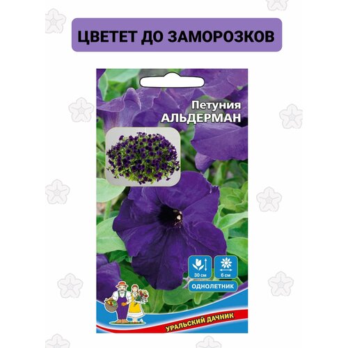 ������ ������ ������. ������� 