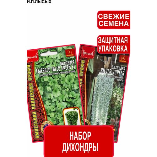 ������ ������ ����� ����� �������� ����