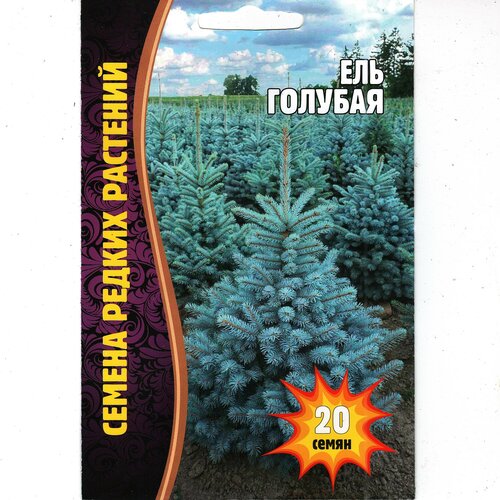 ������ ������ ��� �������, ������ ������� ( 1 ��: 20 ����� ) ����