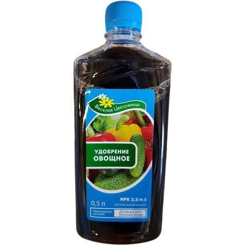 ������ ������ ������������� ��������� ������� ���������� ������� , 500 �� ����