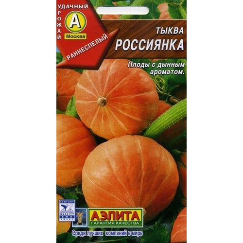 ������ ������ ����� ������������� ��������� 1�, ������ ����