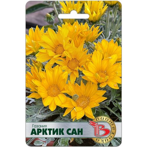 ������ ������ ������ ������� ������ ��� 7 ���� ����� ���������� ����