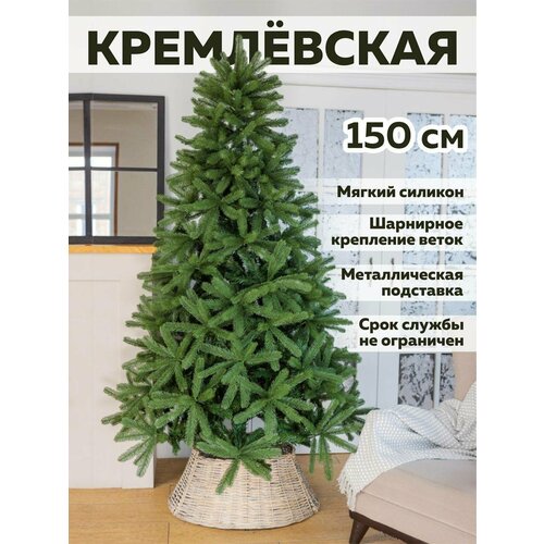 ������ ������ ���� ����������� - ������������� ���� ����� � ��� 150 �� ����