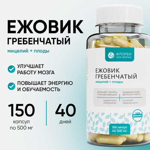 ������ ������ ������ (������) ����������� �������, 150 ������ �� 500 �� ����