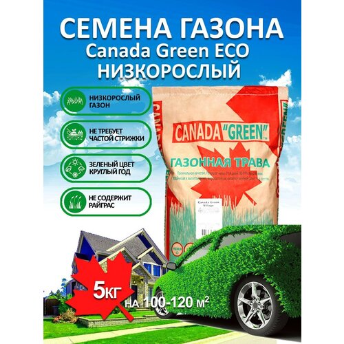 ������ ������ �������� ����� ������ ������ ���� ����������� ECO 5 ��/ ������, �������� ������ ��� ������ ����