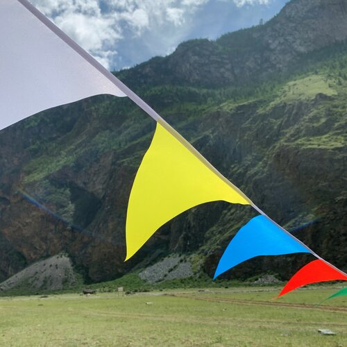 ������ ������ �������� �� ������� �� ����� ������� ������ 2500�� ����