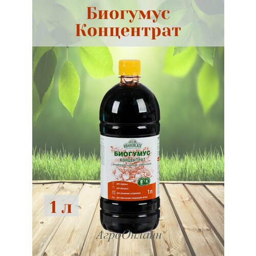 ������ ������ ������������ ��������� �������� ������������� ���������� 1 � ����