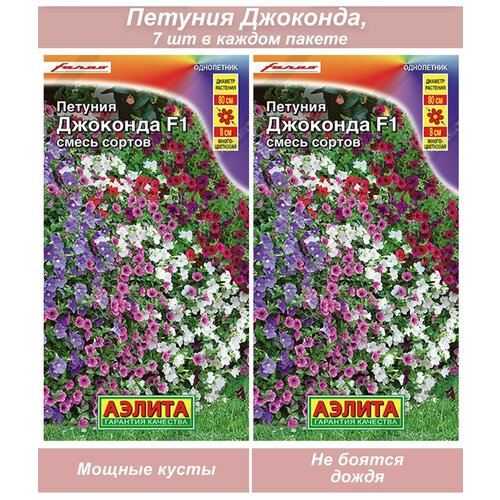 ������ ������ ������ ������ ������� ��������� �������������� ��������� �������� ����