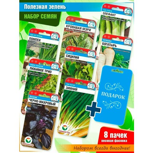 ������ ������ ����� ����� 