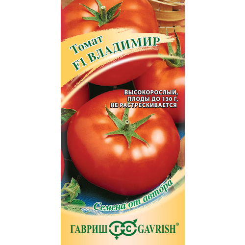 ������ ������ ������ ����� �������� F1 12�� ����� (������) ����� ����