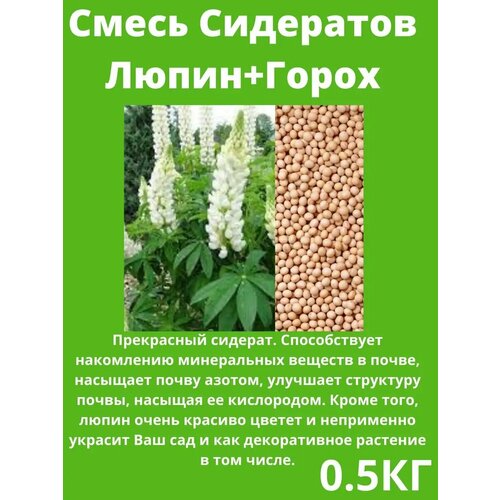 ������ ������ ������ ��������� �����+����� 500�� ����