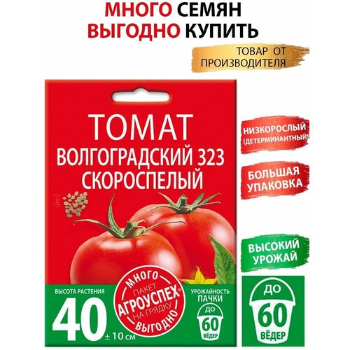 ������ ������ ����� ������������� 323 , ������ ��������� �����-������� 1� ����