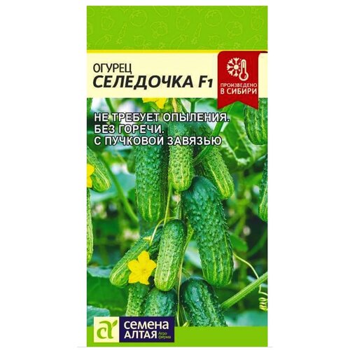 ������ ������ ������ ������ 