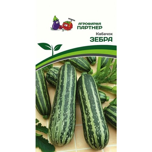 ������ ������ ������ ������ ��������� ������� 