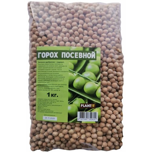 ������ ������ ����� �������� (�������), 1 ��, 1 ��. ����