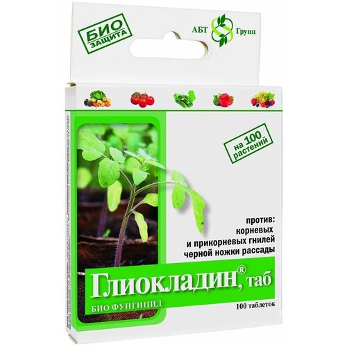 ������ ������ �������� �� �������� ��������, �������� � ����������� ������ ������ ����� ������� ����������, 100 ����. ����