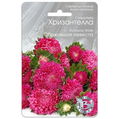 ������ ������ ������ ����� ��������� ����������� 