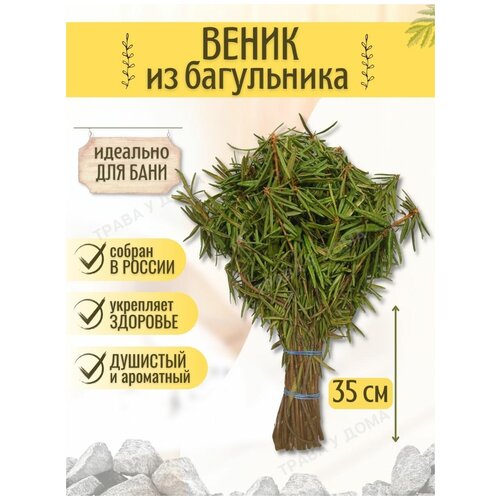 ������ ������ ������ ��� ���� �� ���������� 1 ����� ����