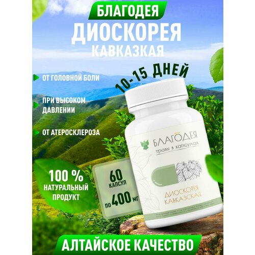 ������ ������ ��������� � �������� (60 ������) ����