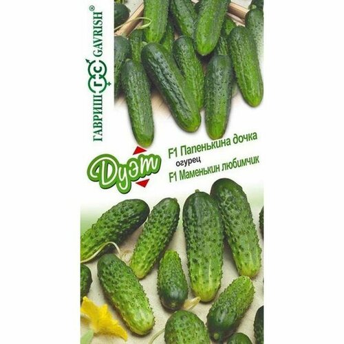 ������ ������ ������ ������ ���� ���������� ����� + ��������� �������� (������������������) (������) 1� �17 ����