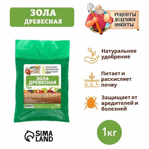 ������ ������ ���� ��������� 