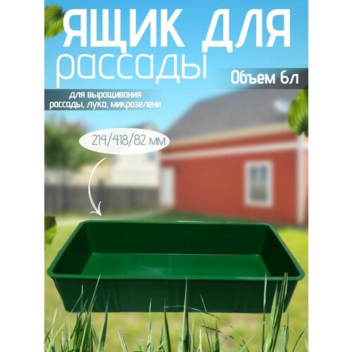 ������ ������ ���� ��� �������, ������ ��� ������� ����