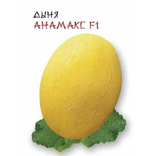 ������ ������ ������������� ������ ���� ������� F1 ����