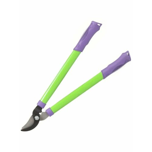 ������ ������ �������� ������� ���� 520�� ����