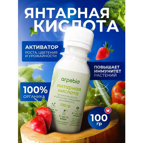 ������ ������ �������� ������� ��������� ��� ������ �������� ������� 100�� ����