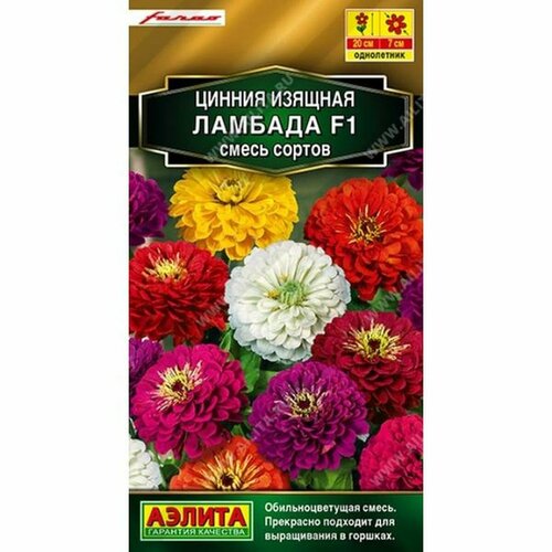 ������ ������ ������ ������ ������� F1, ����� ������ (����������) (������) 12�� Farao ����