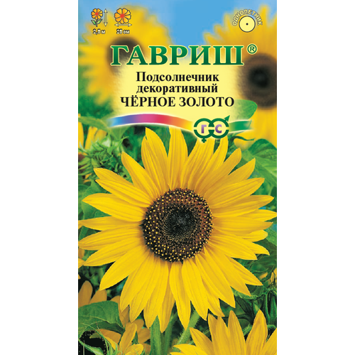 ������ ������ ������ ������������ �����. ������ ������ 0,5� ��� 250�� (������) ����