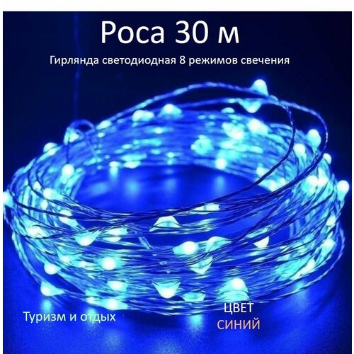 ������ ������ �������� ���� 30 �, ����� ����