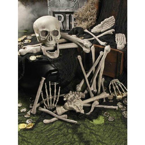 ������ ������ ����� ������ ������ � ������� ����������� ����� ��������� �� �������� ����