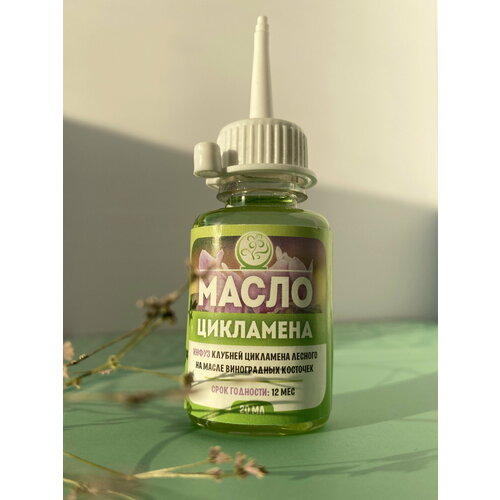 ������ ������ ����� ��������� (�����) ��� ���������, �� ��������, 20 �� - 