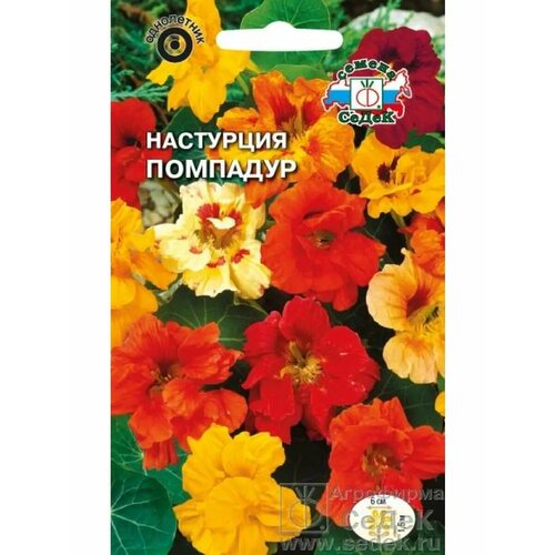 ������ ������ ��������� 